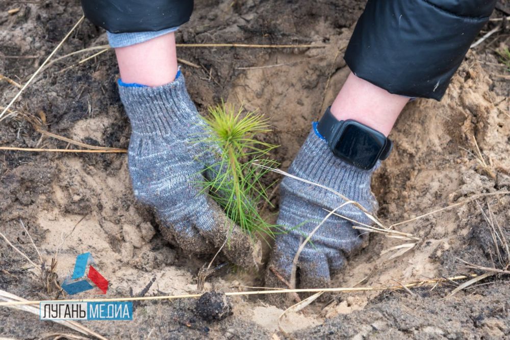 � ��������� �������� ���������� ��� ����� ������������� ����� ���� ������