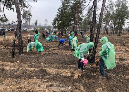 ������ ��� �������� � ������� ����� 20 ���. ����� � ������ � ������� ������� � "�������"