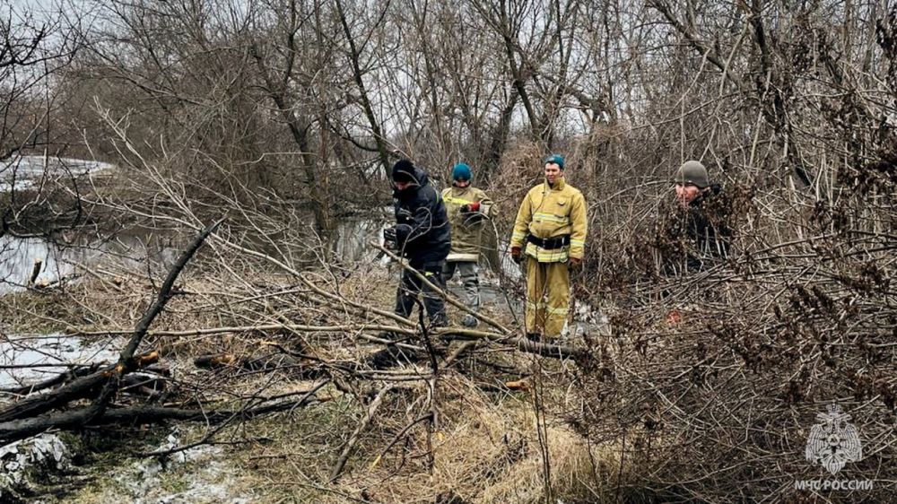 �.�. �������� ������������ �������� ���������� ������� ����� � ���� ��������� �������� �� �������������� � ����������...