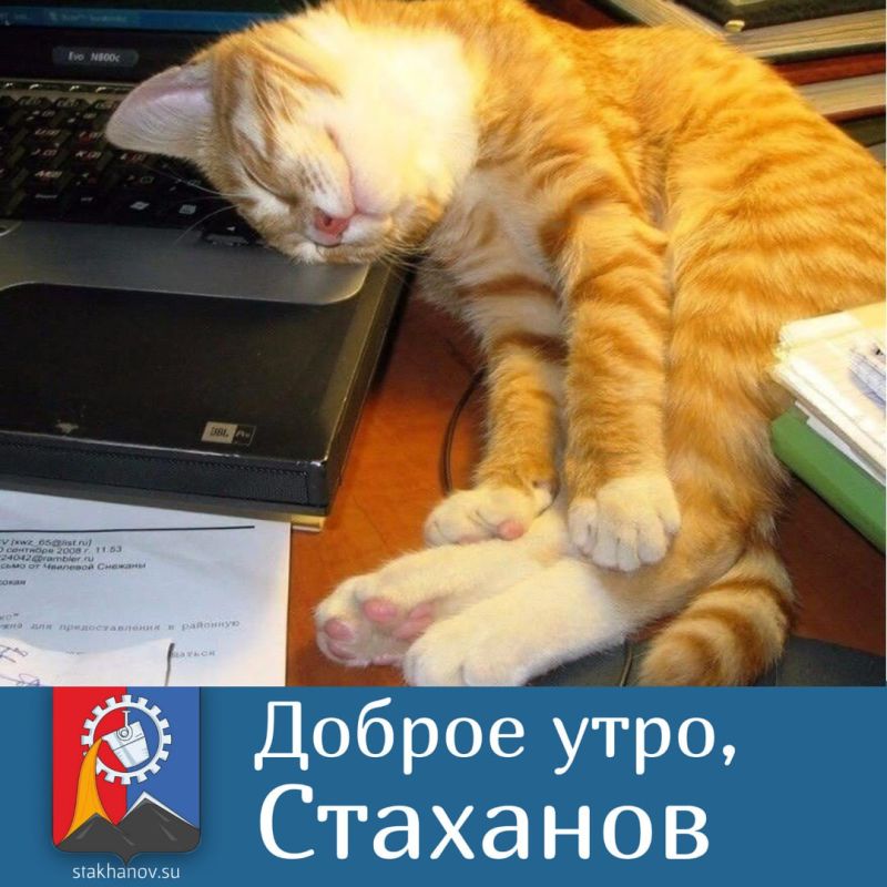 � ����������� ��� ��������