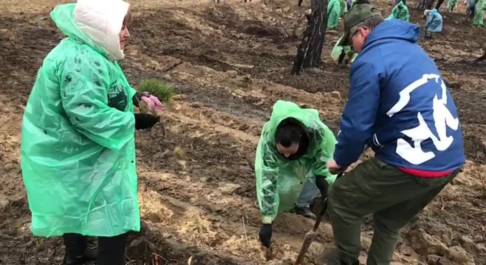 � ������ ����� ���� ������ ���������� ������� ������� � ������� �������� �����, � ������ � ������ ��������� � � ������ � ������� ������� � ������� ���� ����