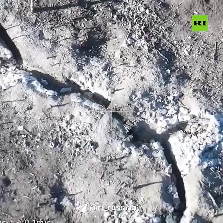 ��������� ���� ������ ���� ���������� �������� ����������� ��� �� ������� ������� � ����������� (���)