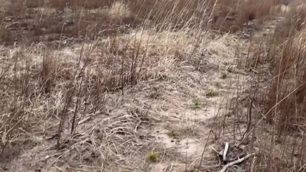 ������� ��������: � ������� ������������� ������ ������� �� ������������� ����� "��� ������"