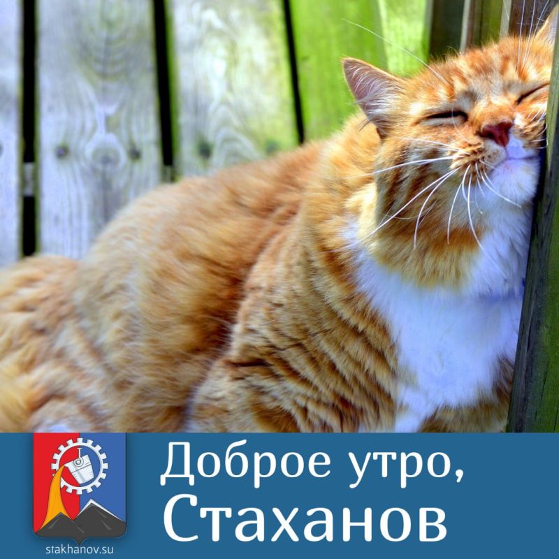 Всем солнечного настроения