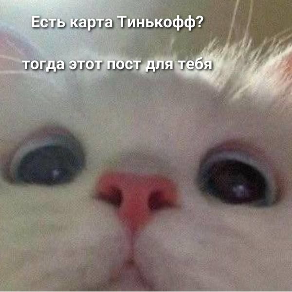 "��������" ������� ����� �������� ������: ��������� ����� ����� ��������, ��� ��� ��������