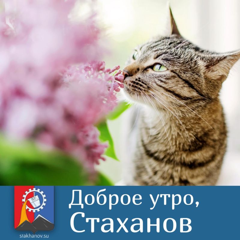 Доброе утро, Стаханов. Все новости ВКонтакте и в Telegram #Стаханов #новости_Стаханова