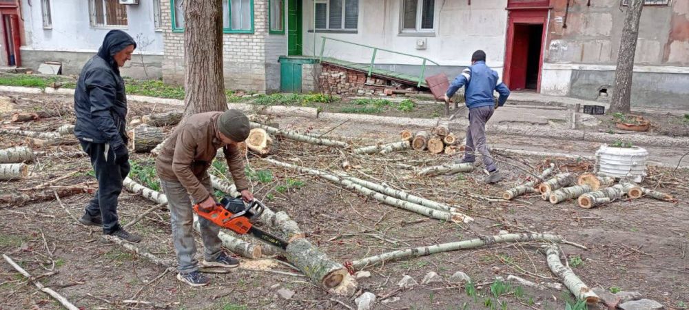 �������� ��������: ������������ ������ ���������� ������ �������� �� ���������� ����� �������� �������