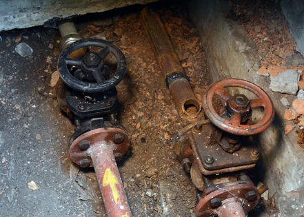 ��� �� ���� ������������ �������� ������������� ����� 80 �� ������������ ����� - ��������