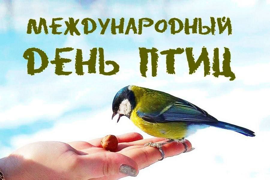 1 ������ � ��� ���"���� ������������ �������� ��������� �.�., ������� ��������������� � �������������� ������� � �������������� ��� ���� (����������������� ������������� ��������), ��� ����- ���������� �������� ������������ � ����������� ����