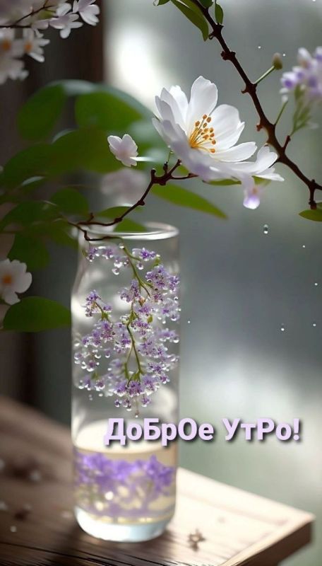 ������� � ������. 4 ������ 2024 ����: