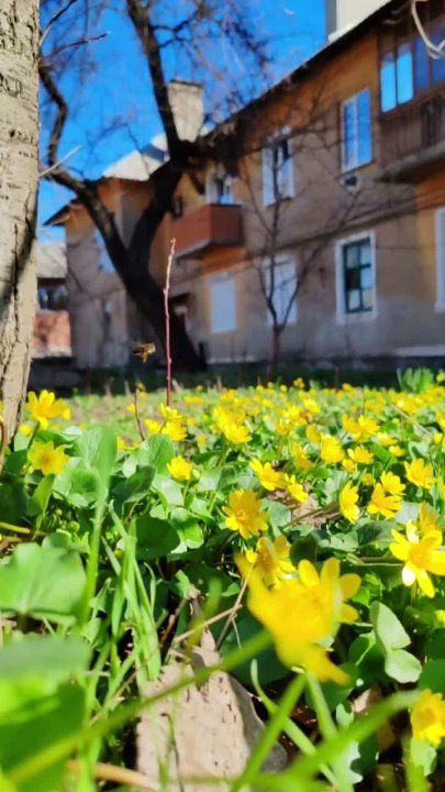 ������� �������: ������, ����������, ��� ��������� ������� ������ ���!