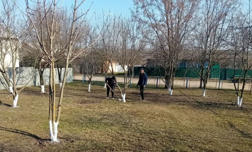 ����� �����: ������� ������ �� ����� ���������, ��� ����� ���������