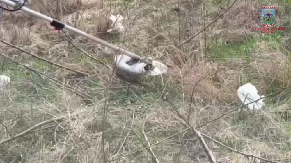 Евгений Морозов: Первый весенний субботник в Брянке состоялся!