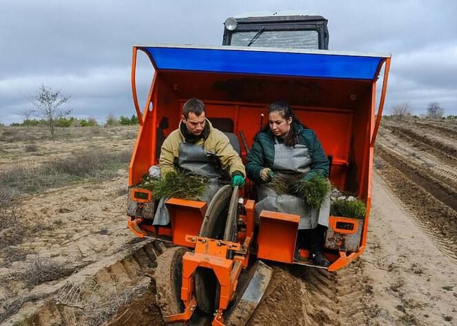 �������������� ���� �� ��������� ������������