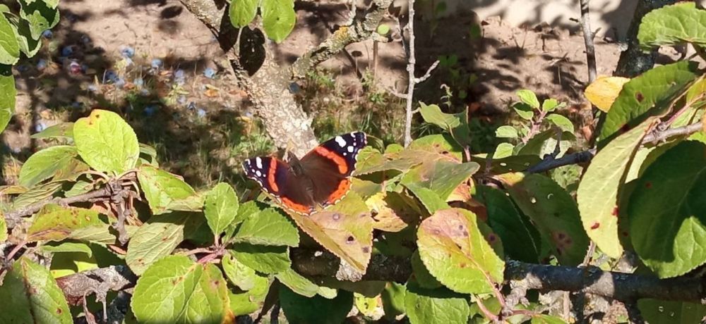 � ������ �����, ������ ����������� �������������� ������!