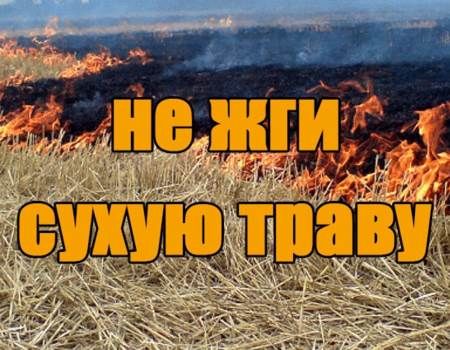 �� ������� ����� ����� ����������� ������������ ���� ������ ������������� ����� ����������, �������� �����������-����������� �������