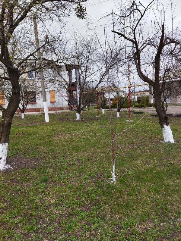 Сергей Колягин: Мероприятия по благоустройству территории в рамках акции «Чистая Республика», сегодня также провели и в городе Горское