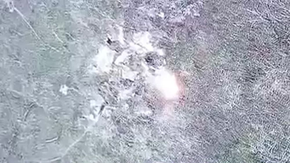 ������ "�����" 204 ���� ��� �����һ ���