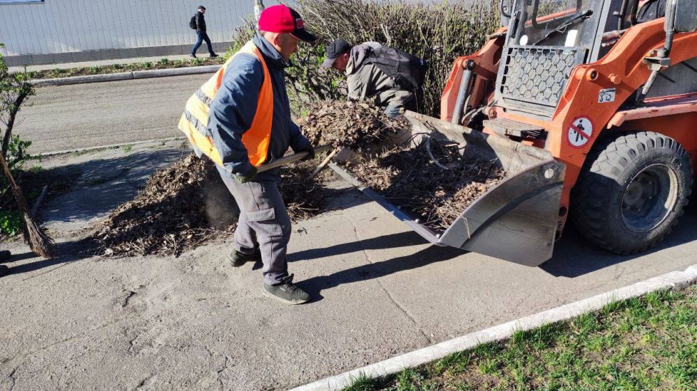 �������� ��������: ������������ ����������� ���������� ������ �������������� � ��������������� ����� ������� ����������