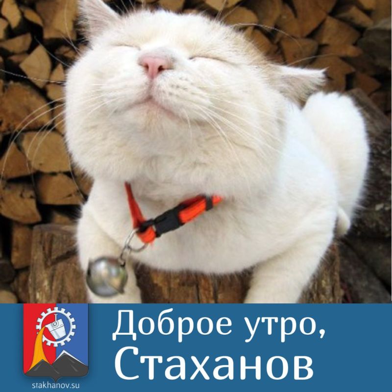 ��� � �������. � ������ �����, �����
