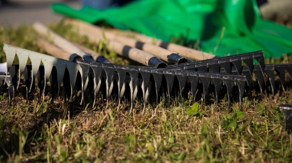 ������� �������: ������, ����� � ����� �������������� ������ ���������� ���������