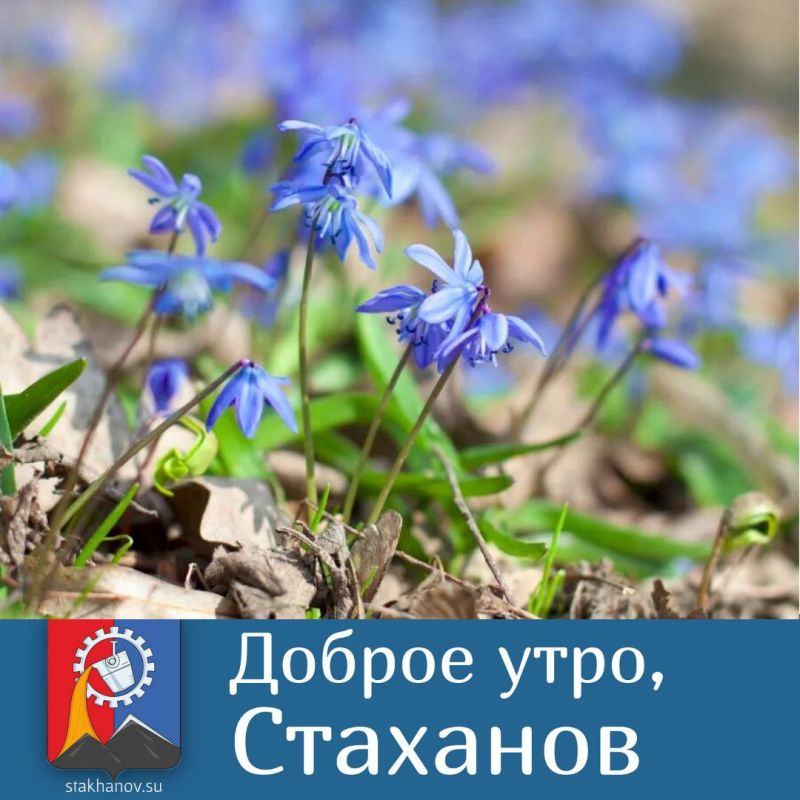 Доброе утро, Стаханов. Все новости ВКонтакте и в Telegram #Стаханов #новости_Стаханова