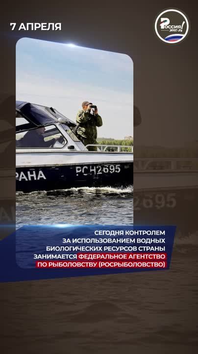 ��� ��������� �� ������ ����������� �����������