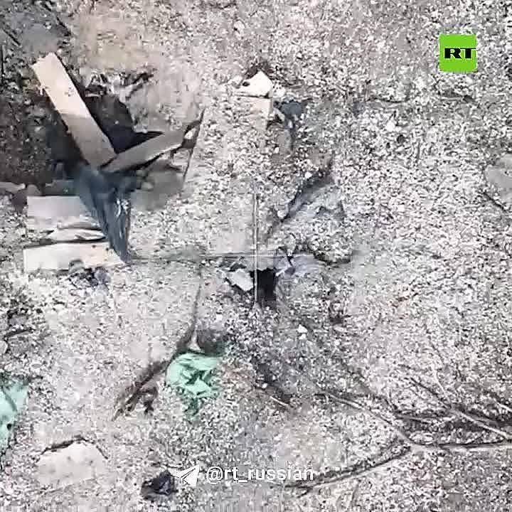��������� ������ ���������� ���� �� ������� �������� ����������� � ����������� (���)