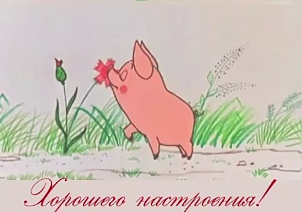 ������ �������: . @marochkolive