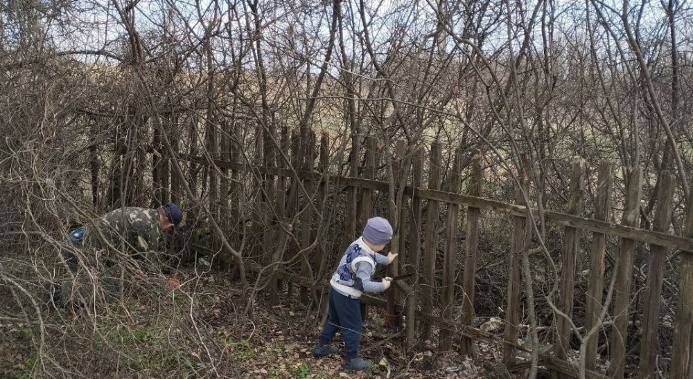 ����� �����: �� ���������� ����������� �������������� ������ �������������� �������� ���������� ����������