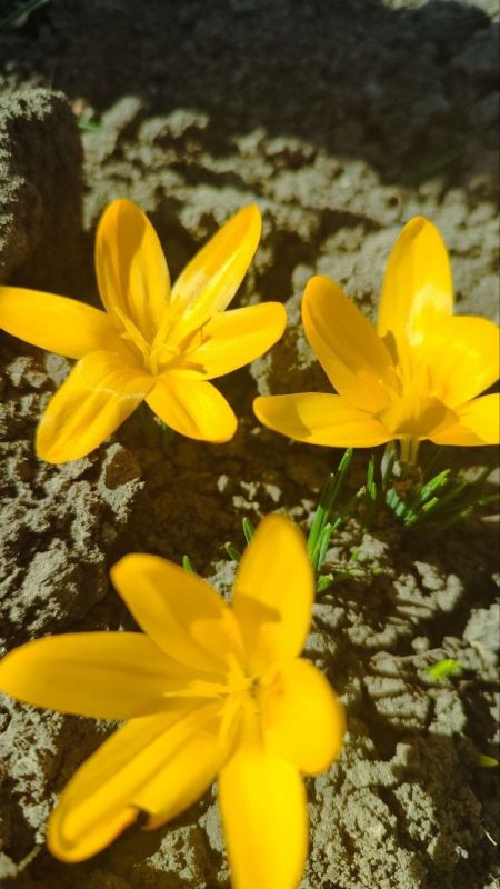 � ������ �����, ������ ����������� �������������� ������!