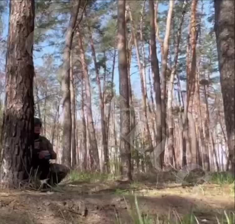 �� ���������� ����������� ��� ������ ������� ��� ������ ��������� ������ "�����.�������"