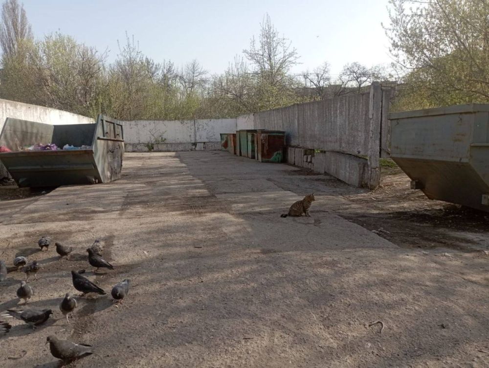 �������� ��������: ������������ ������ ���������� ������ �� ������ �������