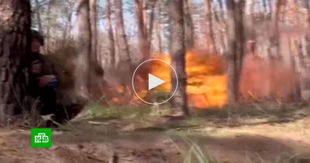 ������ �����-������ �� ����� ��� �������� ��� ����������� � ���