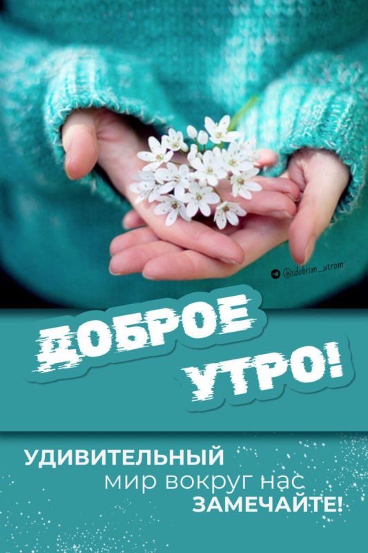� ����� ����� ���� ����� ������������