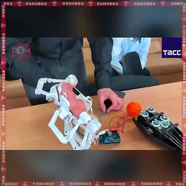 ������� ���������� �������� �������������, ��������� � ����� ���� ���������� ���������� � ������ ������� ������� ����������� ����, ������������� ������� ����, ��� � ��������� ��������