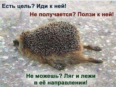 ������ �������: �� �������� ����� ����������