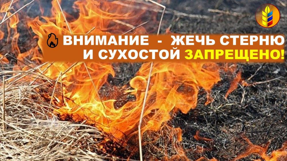 �������� - ���� ������ � �������� ���������!
