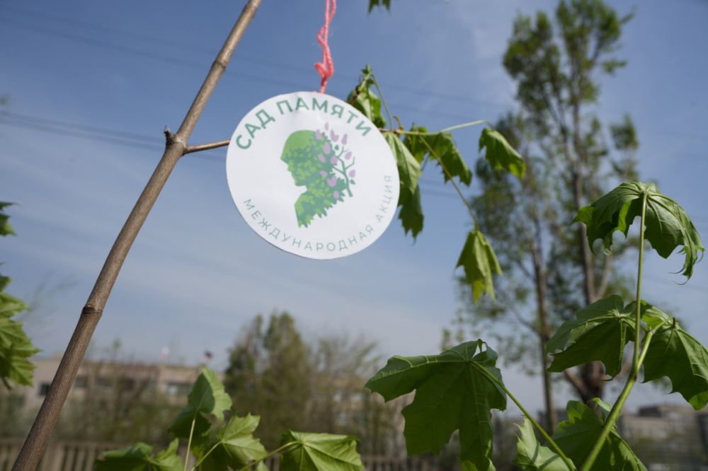 ������� �����: ������� ������������� � ������������� ����� ���� ������