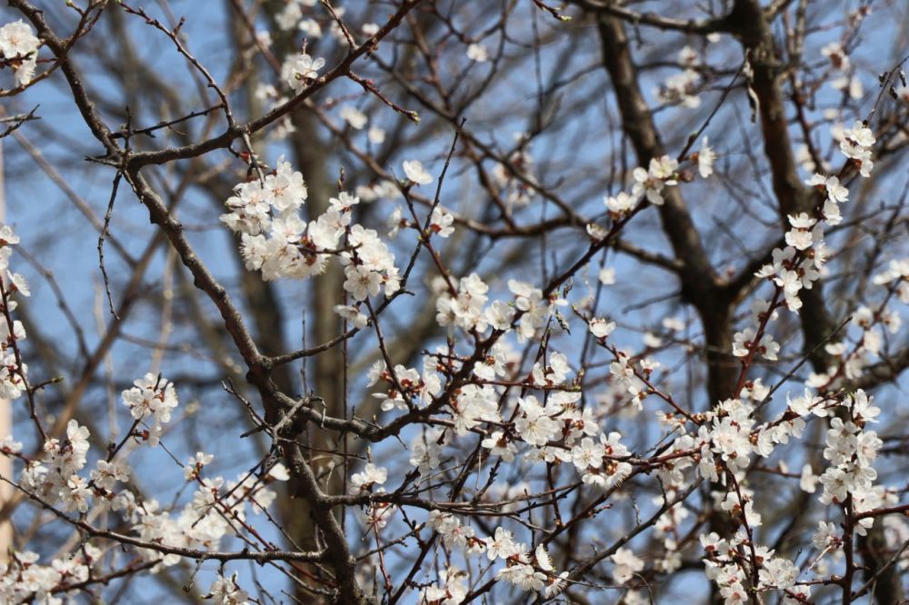 � ������ �����, ������ ����������� �������������� ������!