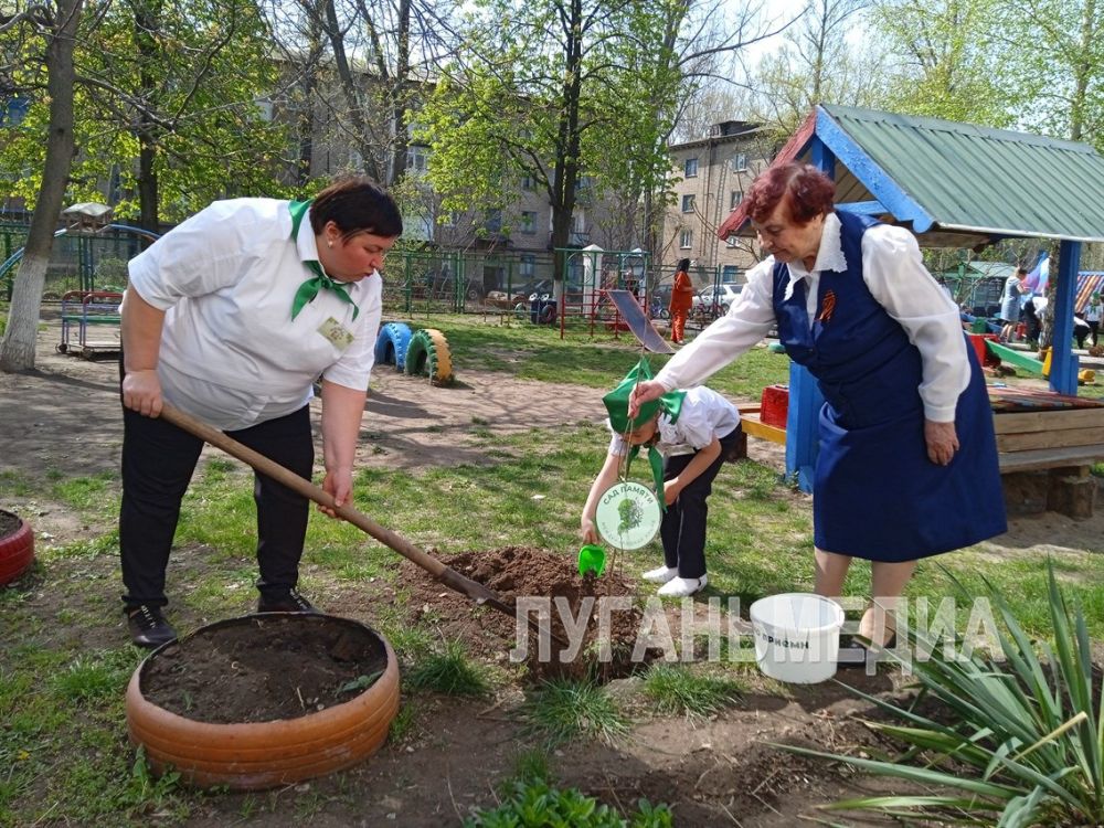 Сад памяти высадили в суходольскои детском саду «Солнышко»