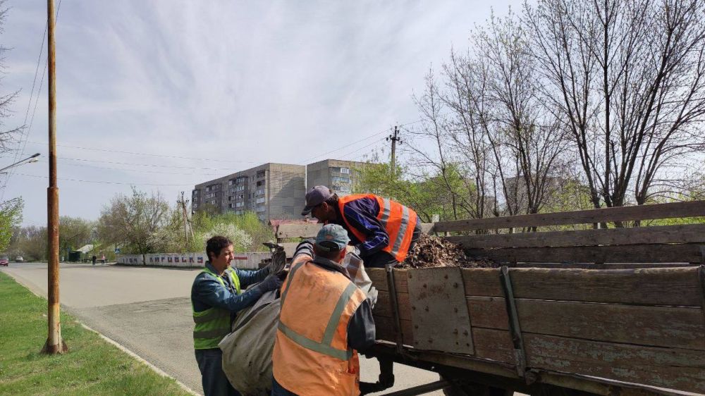 �������� ��������: ������������ ������ ���������� ������ �� ������ �������