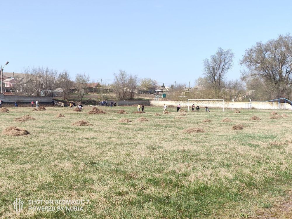 � ������ ���������� ����� ������� ���������� ��������� �������������, ���� ��������, �������� ����������, �������� ������...