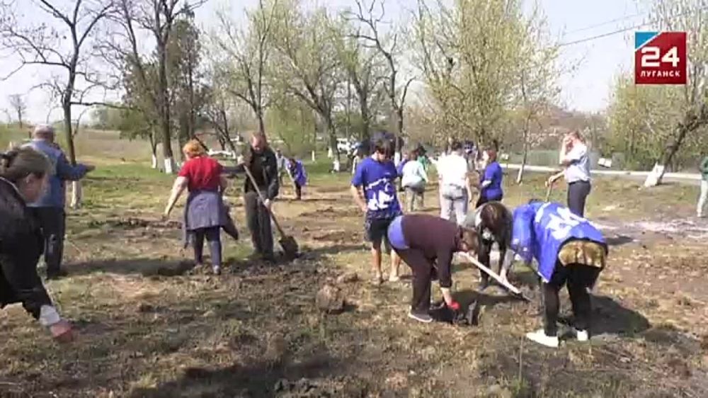 Ко Всероссийской акции «Сад памяти» присоединились Суходольск и Антрацитовский район