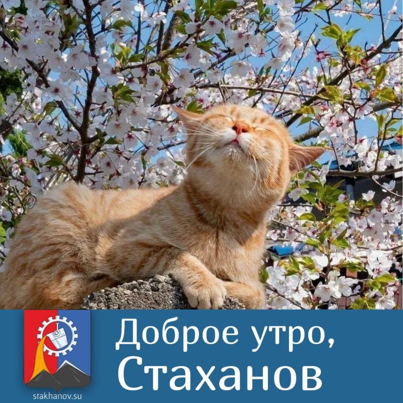 � ������ ���������� ����� �������