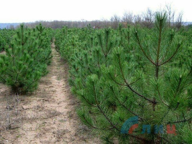 ��� � 2024 ���� ������� �������� �� ������������ ������� �� ������� ����