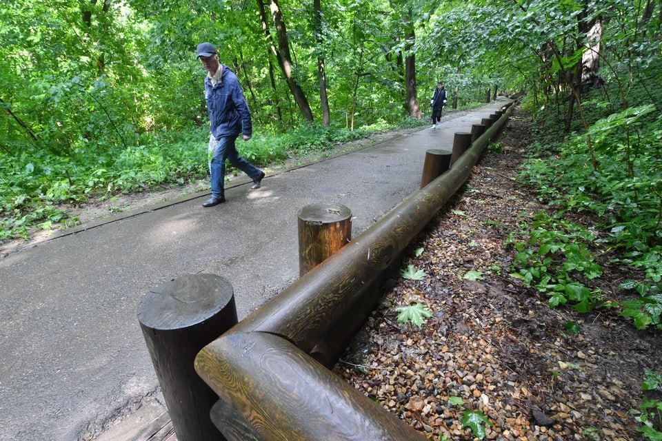 � ��� ����������� ����������-�������� ���� ��� ������������� ������������������