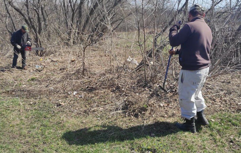 ����� �����: � ������ ����� "������ ������" � "������ ����������", ���������� �� ��������������� ����� ������, ������ ����������� �������������� ������ �� ���������� ������ �������� ����������