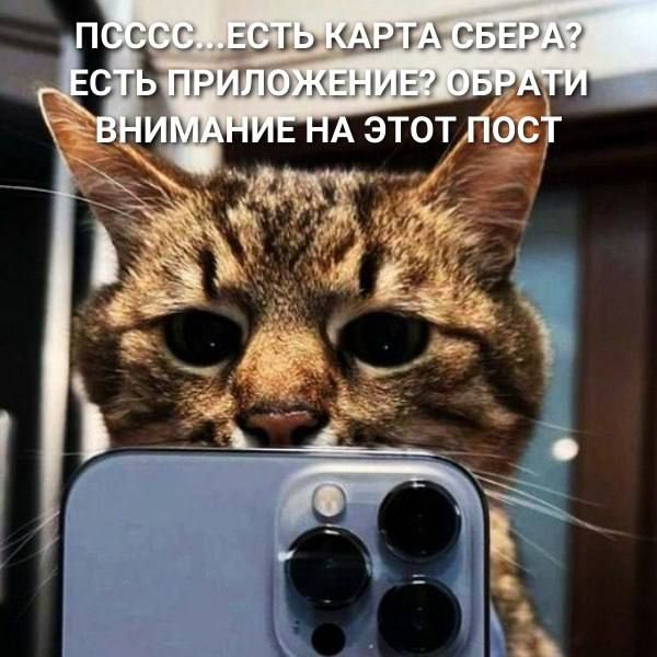 ������������� ���������� � ��������� �����: ������ ���� ��������� � App Store