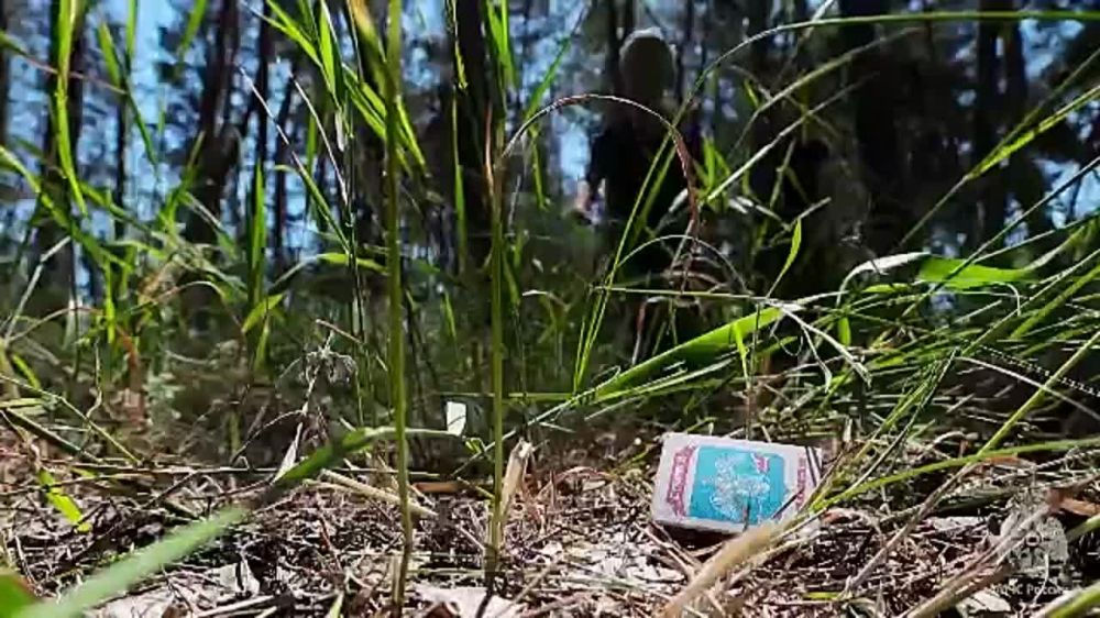 ������� ������� � �����, ������������ ��������� � ����� - ��� �������� ������� ������� �� �������� ����������